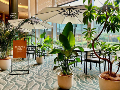 ヒルトン成田 | TERRACE Café by KAIS