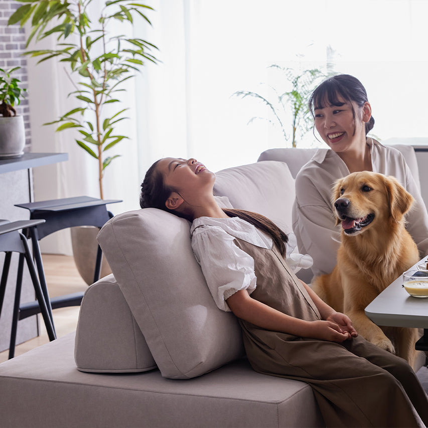 リビングダイニングソファ ペットフレンドリーカバーを使用した