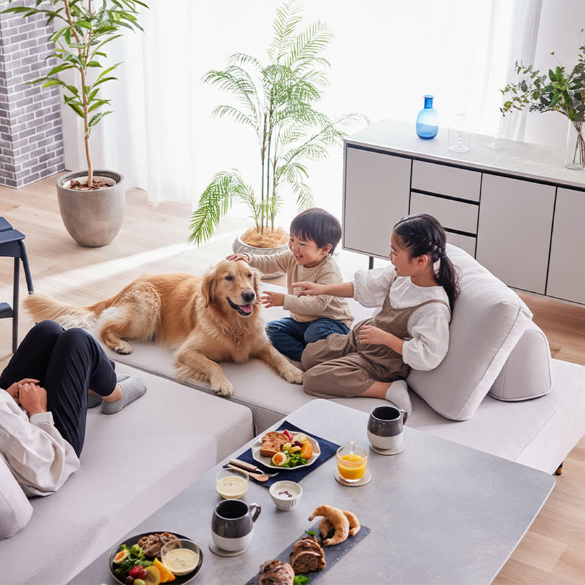 リビングダイニングソファ ペットフレンドリーカバーを使用した