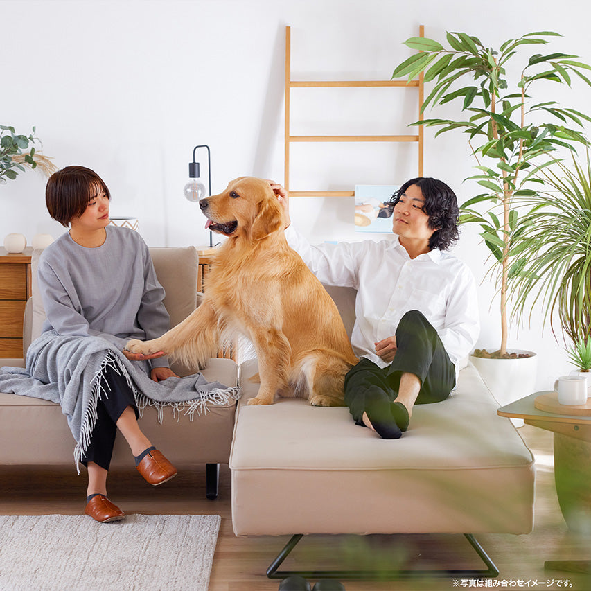 リビングダイニングソファ Miguel / ミゲル アイランドソファ 大川家具 モーブル【開梱設置無料】