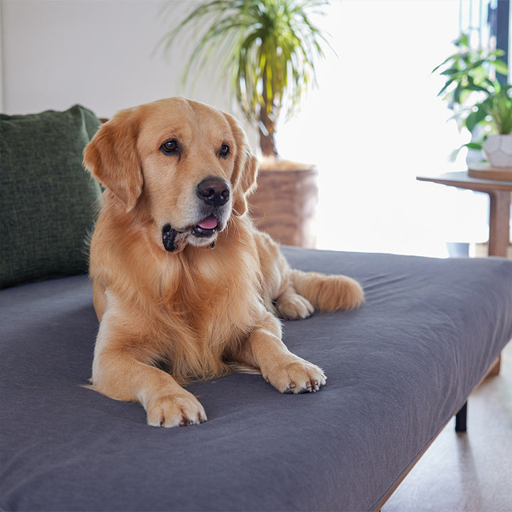 HYSTERIC GLAMOUR ラグ ブランケット マルチカバー ◇◇HYSTERIC GLAMOUR◇◇ レア マルチカバー ラグ ブランケット