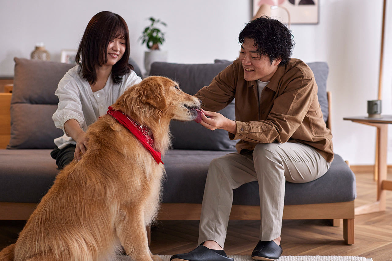 ごろ寝ソファ ヴィンセント | M LiFE FURNITURE エムライフ